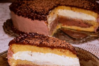 Desert tort 