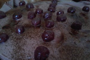 Tort cu crema de ciocolata