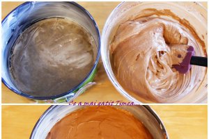 Tort Sacher