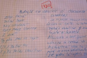 Brioșe cu vanilie și ciocolată