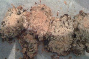 Felii de carne de vitel cu pesmet si parmezan in cuptor