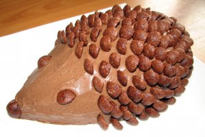 Tort Arici pogonici