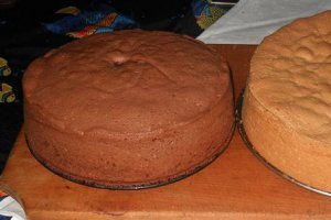 Tort Valentine's Day