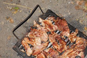 BBQ _gratar carne porc