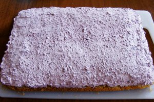 Prajitura cu mousse de afine