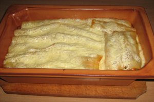 Cannelloni cu carne de pui