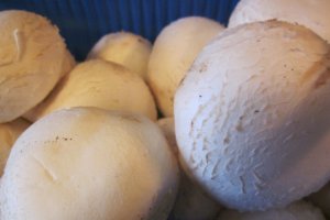 Supă cremă de ciuperci