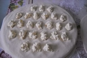 Coltunasi cu urda