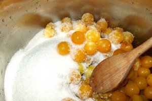 Gem si nectar de corcoduse galbene