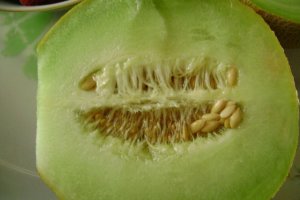 Salata de fructe "ametzita"