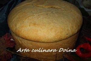 Paine de casa cu malai