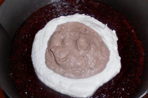 Tort de inghetata cu ciocolata, zmeura si bezea