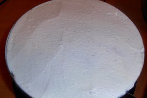 Tort de inghetata cu ciocolata, zmeura si bezea