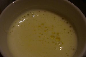 Şodou
