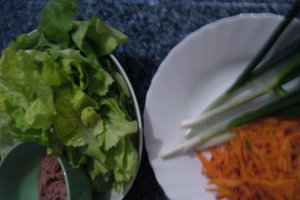 Salata verde cu ton
