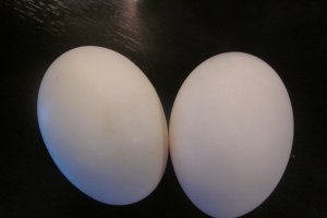 Mucenici