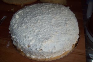 Tort Mimoza