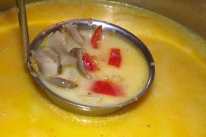 Ciorba falsa de burta ( cu ciuperci pleurotus )