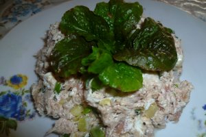 Salata de ton cu ceapa verde si feta