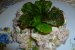 Salata de ton cu ceapa verde si feta-1