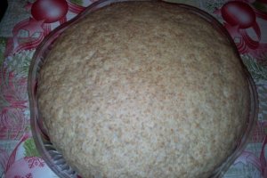 Paine Integrala