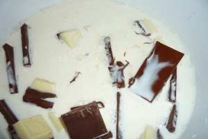 Tort " Merci"
