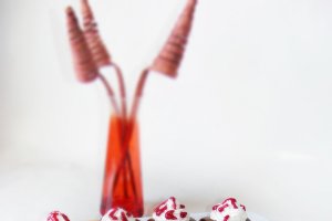 Prajitura cu ciocolata si fructe de padure