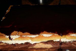 Prajitura cu crema de vanilie ,piscoturi si biscuiti
