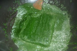 Spanac cu branza de vaci la cuptor