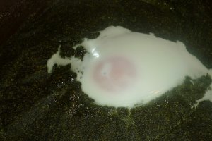 Spanac cu branza de vaci la cuptor