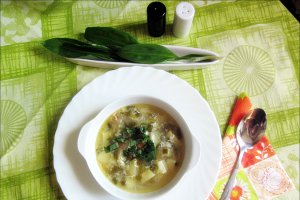 Supă/ciorbă de legume