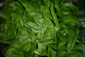 Sarmalute vegetariene in frunze de salata