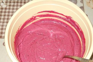 Inghetata de fructe de padure