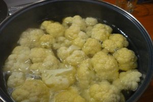 Mancarica de conopida