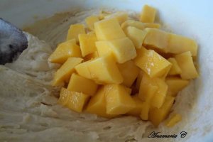 Prajitura cu mango si prune