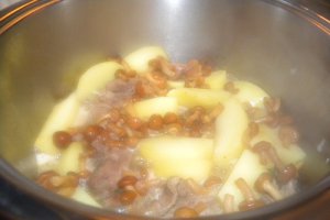 Tocanita de curcan cu ghebe