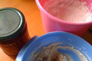 Crema fina de branza si ness cu prune si frisca