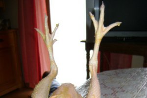 Piftie de gaina
