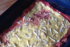 Budinca de branza dulce cu rubarba si capsune