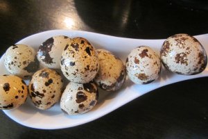 Supă/Ciorbă de urzici