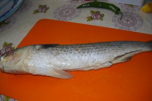 Chefal prajit