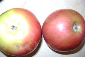 Salata de fructe si inghetata de vanilie (altfel)