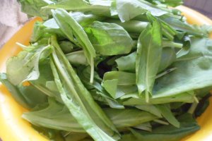 Ciorba de macris