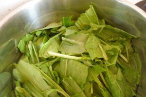 Ciorba de macris