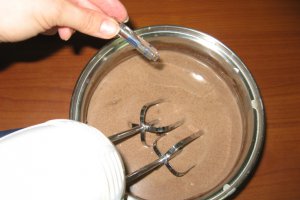 Tort cu ciocolata, rom si stafide