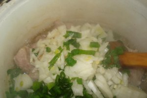 Tocanita de cartof cu carnita de porc si marar