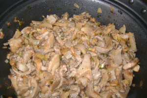 Ciuperci gulas