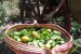 Salata simpla, gustoasa si sanatoasa de leurda-6