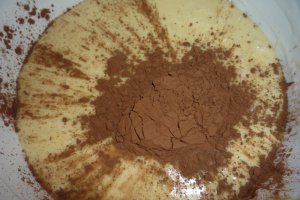 Duo mousse de ciocolata cu Miez de lapte si sos de capsuni