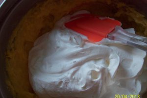 Desert tort Egiptean